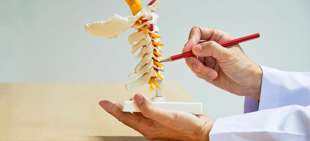 Zonas de dolor de espalda: tipos y causas | Dr Lizón